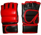 MMA Gloves